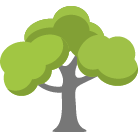 Conroe Tree Removal