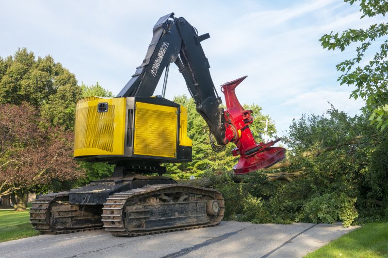 Residential Tree Removal Equipment