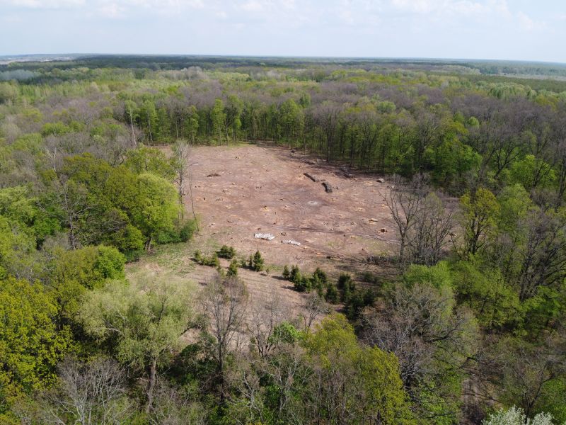 Land Clearing After Removal